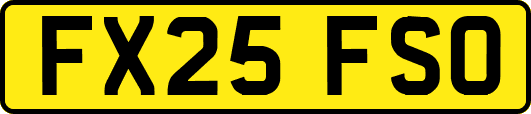 FX25FSO
