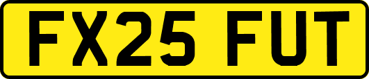 FX25FUT