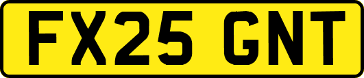 FX25GNT