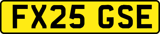 FX25GSE