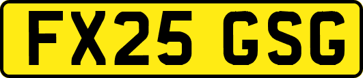 FX25GSG