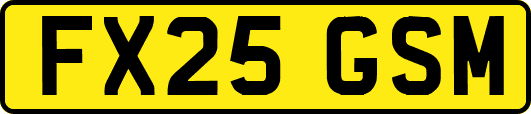 FX25GSM