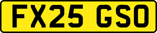 FX25GSO