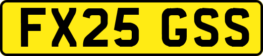 FX25GSS