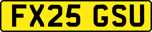 FX25GSU