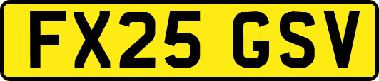 FX25GSV