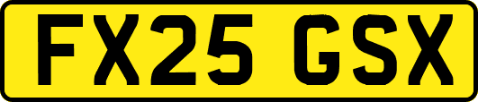 FX25GSX