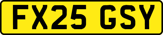 FX25GSY