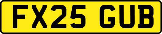 FX25GUB