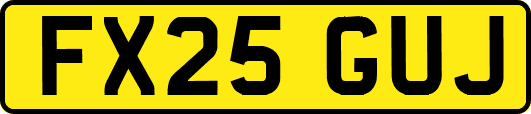 FX25GUJ