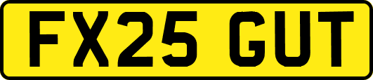 FX25GUT