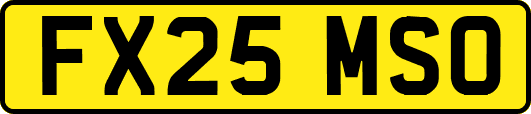 FX25MSO