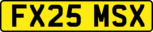 FX25MSX