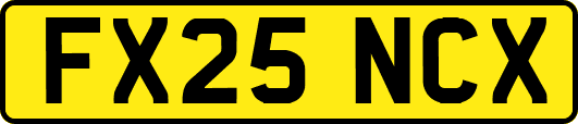 FX25NCX