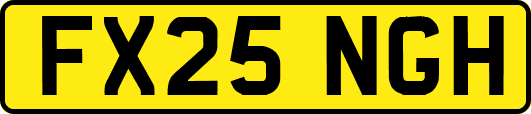 FX25NGH