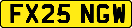 FX25NGW