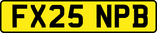 FX25NPB