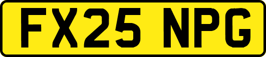 FX25NPG
