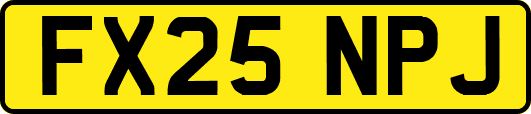 FX25NPJ
