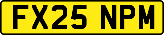 FX25NPM