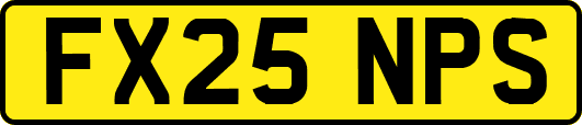 FX25NPS