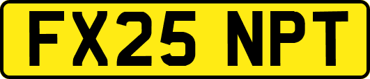FX25NPT