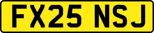 FX25NSJ