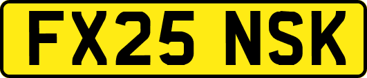 FX25NSK