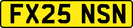 FX25NSN