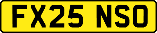 FX25NSO