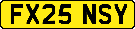 FX25NSY