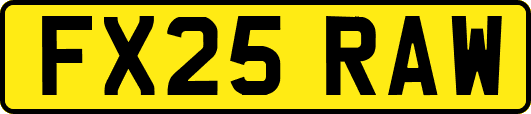 FX25RAW