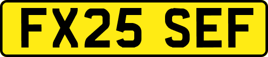 FX25SEF