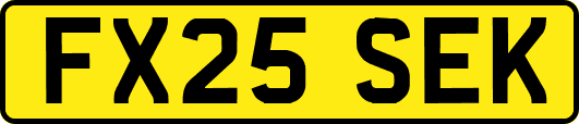 FX25SEK