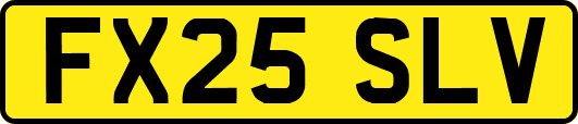 FX25SLV