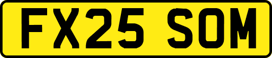 FX25SOM