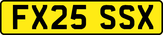 FX25SSX