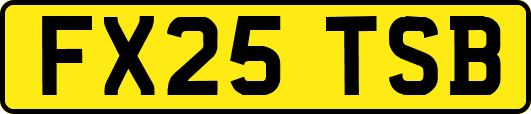 FX25TSB