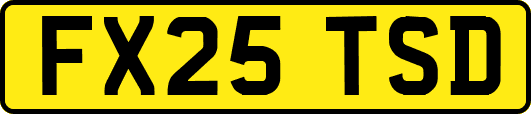 FX25TSD