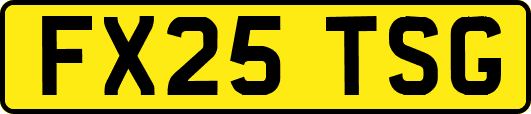 FX25TSG