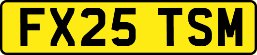 FX25TSM