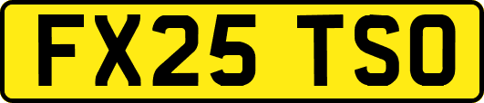 FX25TSO