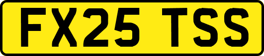 FX25TSS