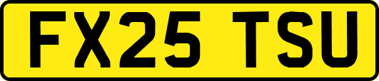 FX25TSU