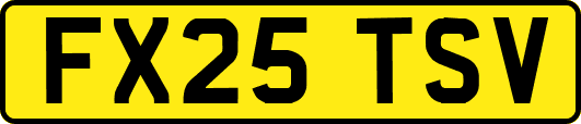 FX25TSV
