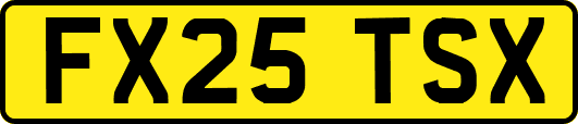 FX25TSX