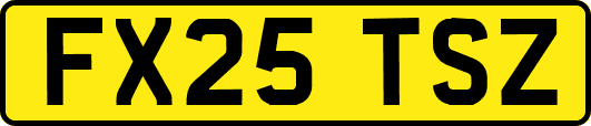 FX25TSZ