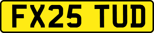 FX25TUD