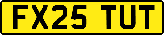 FX25TUT