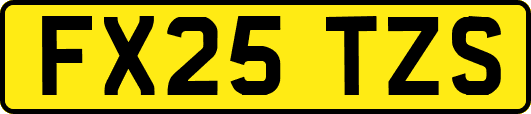 FX25TZS